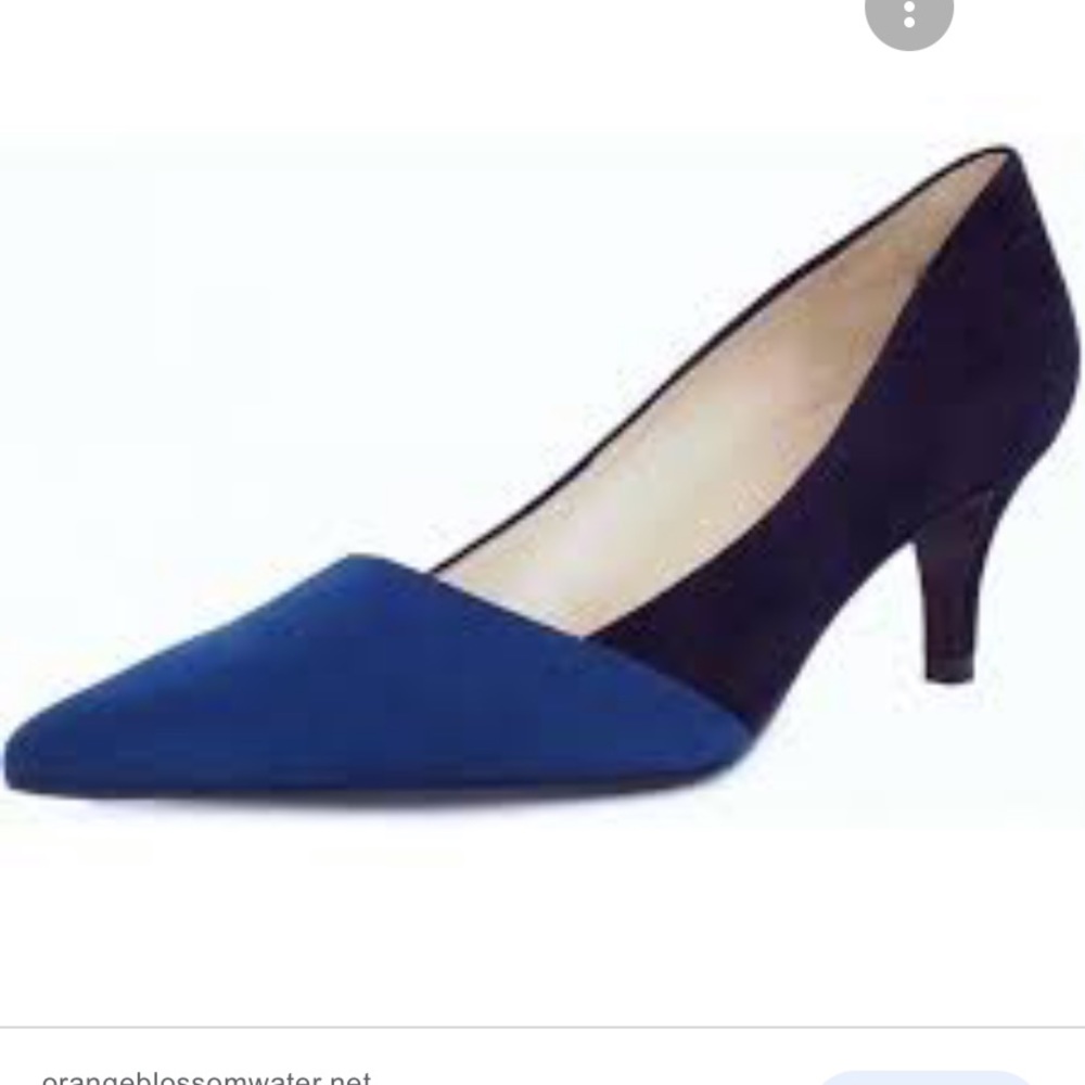 Peter Kaiser Navy Suede Pointed Pumps